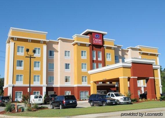 Comfort Suites Near Tanger Outlet Mall Gonzales Zewnętrze zdjęcie